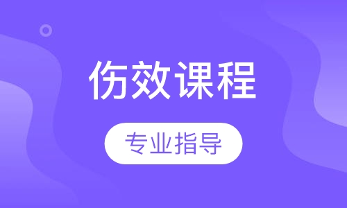 伤效课程