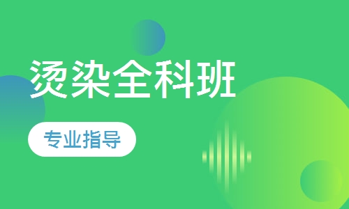 专业烫染全科班